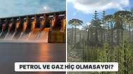 Petrol ve Gazı Oluşturan Karbonifer Ormanlar Hiç Var Olmasaydı Nasıl Bir Dünyada Yaşardık?