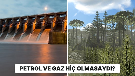 Petrol ve Gazı Oluşturan Karbonifer Ormanlar Hiç Var Olmasaydı Nasıl Bir Dünyada Yaşardık?