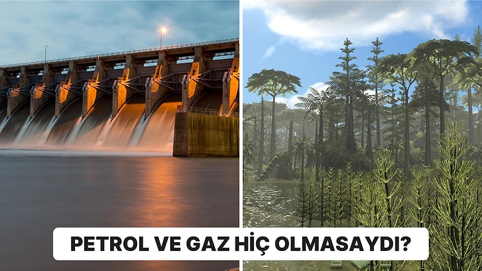 Petrol ve Gazı Oluşturan Karbonifer Ormanlar Hiç Var Olmasaydı Nasıl Bir Dünyada Yaşardık?