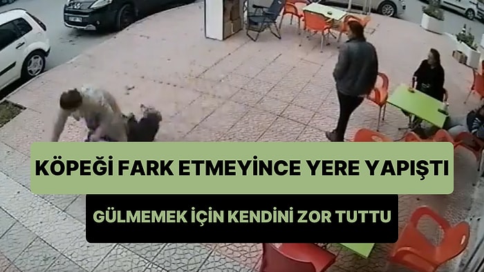 Hızlı Hızlı Yürürken Kaldırımda Yatan Köpeği Fark Etmeyip Patisine Basan Kadın Yere Yapıştı