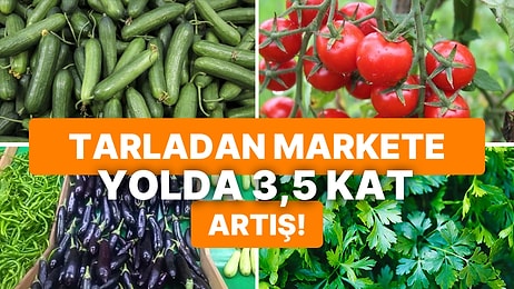 Tarladan Markete Gelene Kadar Katlanan Fiyatlar, Tüketici Kadar Üreticiyi de Mağdur Ediyor!