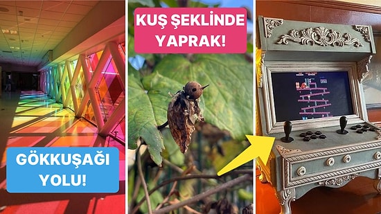 Gördüğünüz Andan İtibaren Zevki İliklerinize Kadar Hissedeceğiniz Birbirinden Etkileyici 21 Fotoğraf