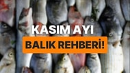 Kasım Ayında Hangi Balıklar Yenir? Hepsi Birbirinden Lezzetli Omega 3 Deposu Kasım Balıkları Rehberi