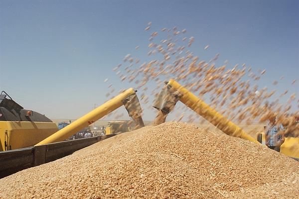 FAO Tahıl Fiyat Endeksi ay içinde yüzde 3,0 arttı.
