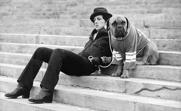 9. Sylvester Stallone, kariyerinin başında nakit sıkıntısı içinde olduğundan dolayı köpeği Butkus'u 40 dolara satmak zorunda kalmıştır. Rocky filminden sonra köpeğini 15 bin dolara geri almıştır ve köpeğine filmde rol vermiştir.