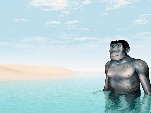 Gelelim son teorimize: Suda yaşayan maymun teorisi.