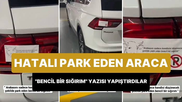 Hatalı Parklara, 'Sadece Kendisini Düşünecek Şekilde Park Eden Bencil Bir Sığırım' Stickerı Yapıştırdılar