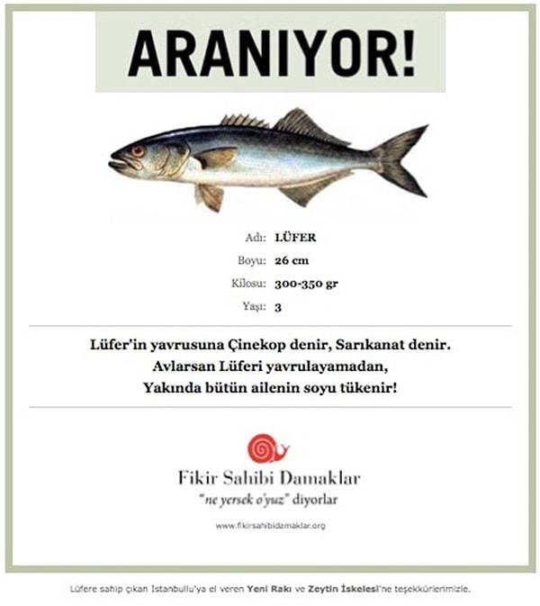 İstanbul lüfere hasret kalmasın sloganıyla yola çıkan ve 'Fikir Sahibi Damaklar' ismi altında buluşan topluluk duyarlı, bilinçli ve sürdürülebilir bir balık sezonu için her yıl çağrıda bulunuyor.