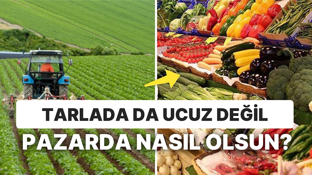 Çiftçinin Belini Büken Artışlar Sürüyor! Tarım ÜFE Rekorlara Doyamadı: TÜİK Açıkladı Tarımda Maliyetler Arttı