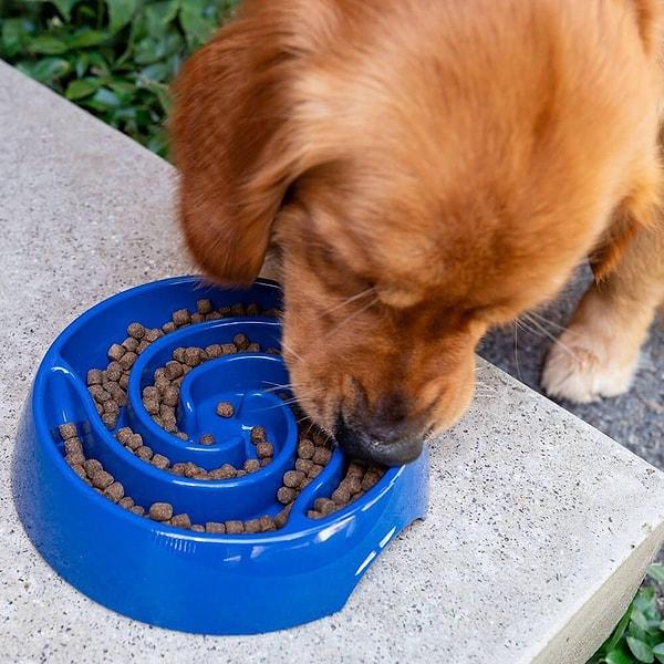 7. Köpek yavaş besleme mama kabı