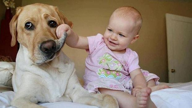 Sadık Dostlarımız Köpeklerin Bebekler İçin de Çok İyi Bir Arkadaş Olduklarının 10 Kanıtı