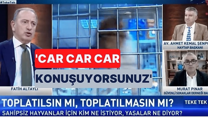 Fatih Altaylı, HAYTAP Başkanını Canlı Yayında Azarladı! 'Hayvanseverlikten Sizin Yüzünüzden Soğuyacağım'