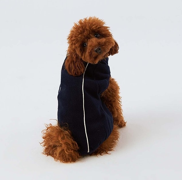 4. Manteau polaire pour chien 🤩