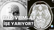 Zekâyla İlişkisi Olduğu İddia Ediliyor: Yeni Bilgiler Öğrenmek Gerçekten de Beyin Kıvrımlarını Artırıyor mu?