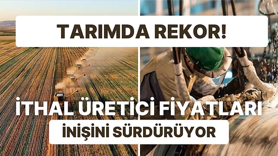 Yurt İçinde Tarımda Rekor, İthal ÜFE'de Geri Dönüş Sinyali!