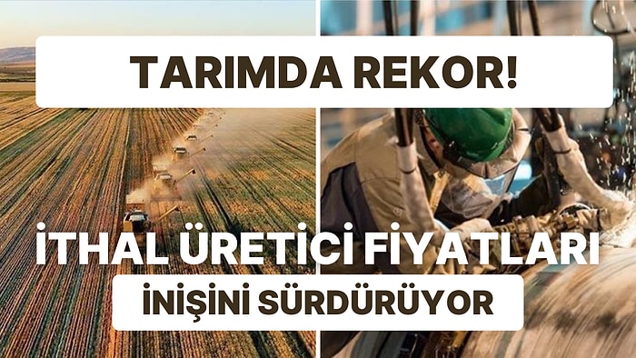 Yurt İçinde Tarımda Rekor, İthal ÜFE'de Geri Dönüş Sinyali!