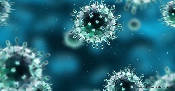 Soğuk ayrıca virüslerin vücut dışında hayatta kalmasını kolaylaştırıyor çünkü virüsleri hapseden nem oranı soğuk havada daha düşük.