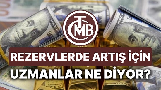 Cumhurbaşkanı Erdoğan, "Rezervler Artacak" Dedi: Uzmanlar Önceden Açıklamıştı!