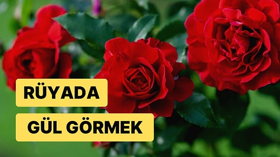 Rüyada Gül Görmek: Her Zaman Sevdikleriniz Tarafından Güzel Hatırlanacaksınız!