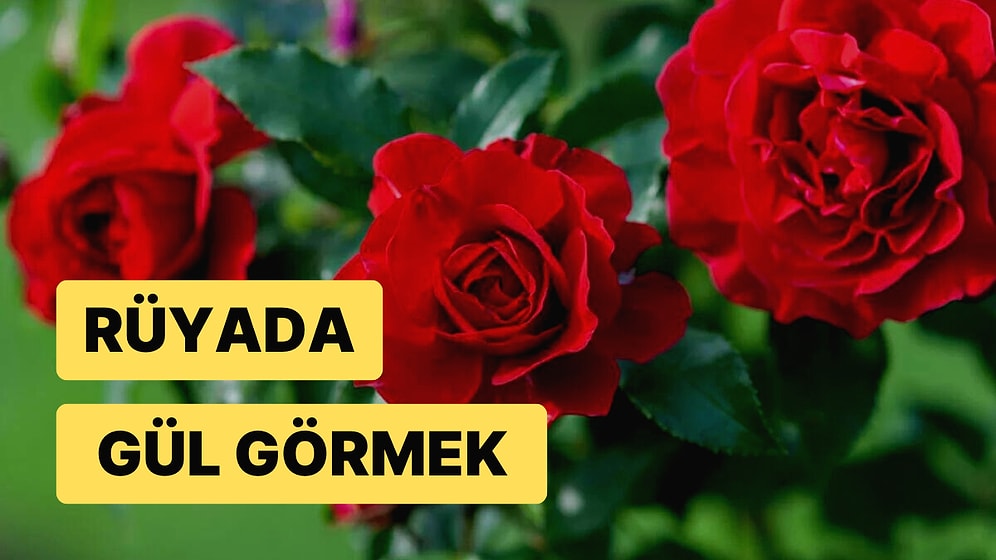 Rüyada Gül Görmek: Her Zaman Sevdikleriniz Tarafından Güzel Hatırlanacaksınız!