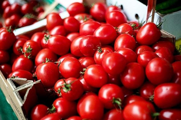 Osmanlı, domatesi ABD'den değil İtalya'dan öğrenmiştir. Bu dönemde sadece yeşil domatesler tüketilmiş, kızaranların bozulduğu düşünülerek atılmıştır. Ayrıca uzun yıllar boyunca Anadolu'da sadece çeri domates üretilmiş ve tüketilmiştir.