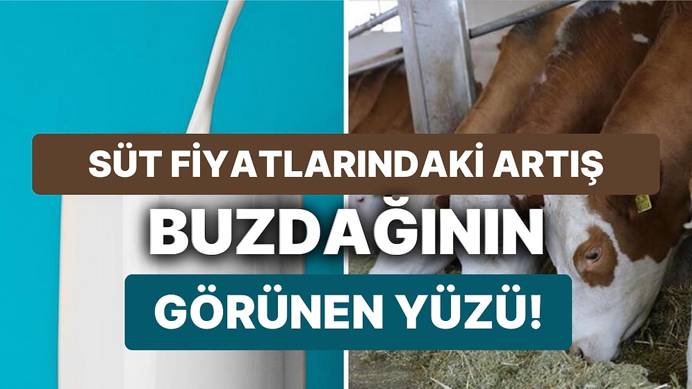 Süt Krizi Göstere Göstere Geldi: Üretici İsyanda, Bakan Kimi Suçluyor?