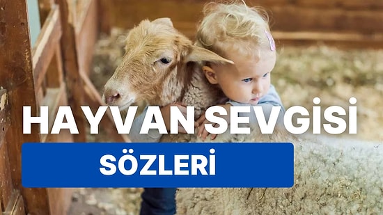 Hayvan Sevgisi ile İlgili En Güzel Sözler