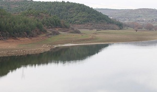 Durumun ehemmiyetini anlamak için bir de geçtiğimiz yıl ile bu yılın Kasım ayı verilerini kıyaslayalım!