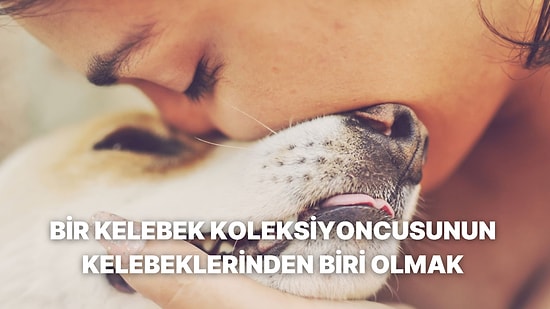 Kadın ve Hayvan Cinayetleri Sistemden Bağımsız Olarak Düşünülemez!