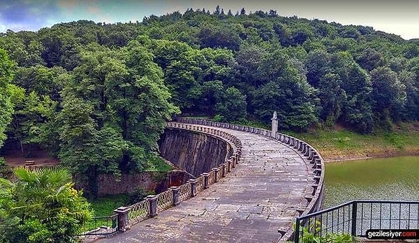 1. Belgrad Ormanı