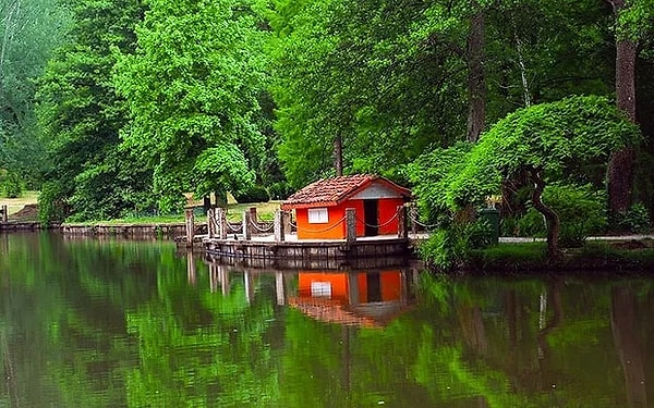 3. Atatürk Arboretumu