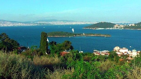 9. Adalar