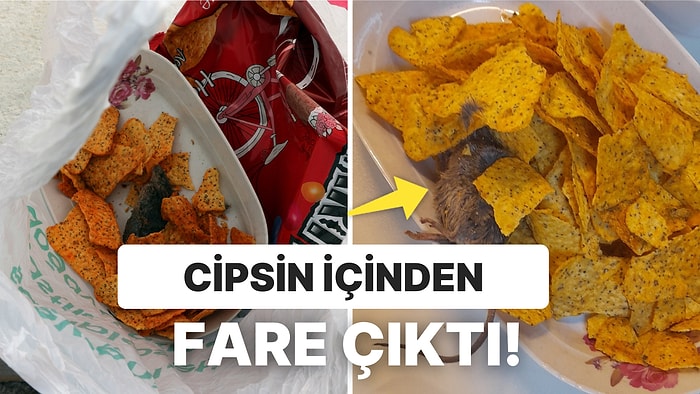 Üniversite Öğrencilerinin Zincir Marketten Aldıkları Cipsin İçerisinden Fare Ölüsünün Çıkmasına Gelen Yorumlar