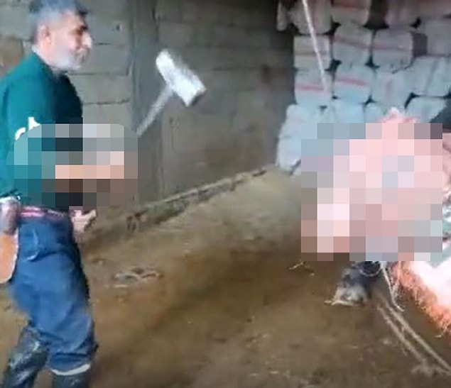 Bo�an�n Ba��na Balyozla Vurup �ld�ren Cani ve Yan�ndaki 2 Ki�i Tutukland�