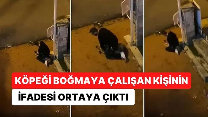 Köpeği Boğmaya Çalışmıştı: "Köpek Bana Hırlayınca Korktum, Kendimi Korumak Zorunda Kaldım"