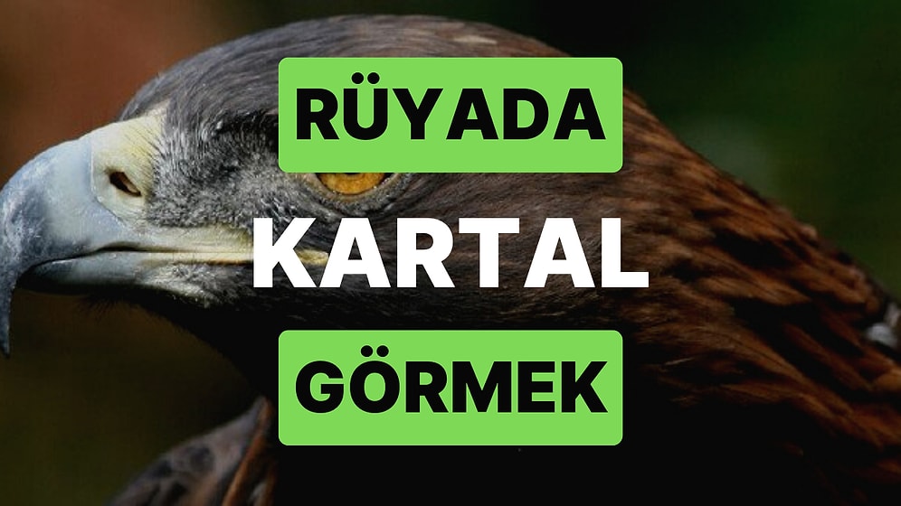 Rüyada Kartal Görmek: Maddi Açıdan Bir Anda Yükselişe Geçebilirsiniz!