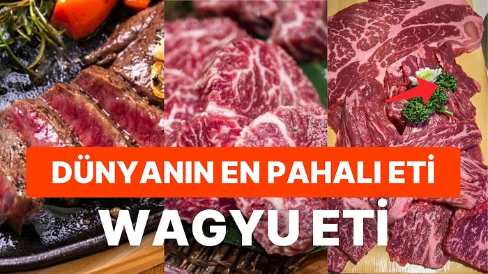 Dünyanın En Pahalı Eti Wagyu Olarak Bilinen Kobe Etinin Neden Bu Fiyatta Olduğunu Öğrenince Çok Şaşıracaksınız