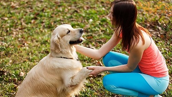 Köpeğinle Olan İlişkine Göre Onun En Sevdiği Aktivite Ne?