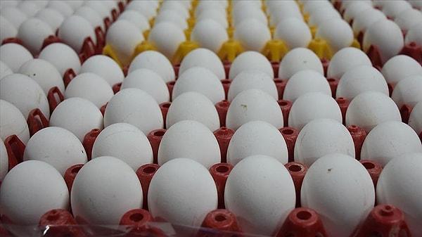 8 yılda 1.000 yumurta kırılmış!