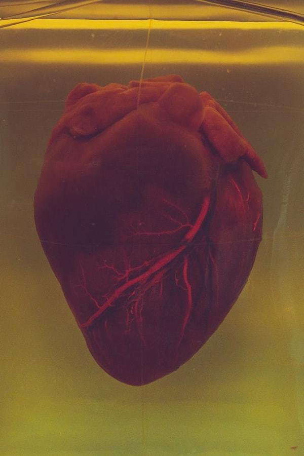 9. İnsan kalbi günde ortalama 100 bin kere atar.