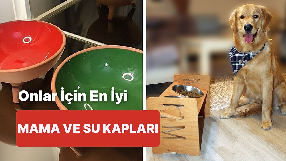 Köpek Dostlarınız İçin Birbirinden Kullanışlı Mama ve Su Kabı Tavsiyeleri