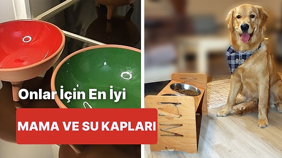 Köpek Dostlarınız İçin Birbirinden Kullanışlı Mama ve Su Kabı Tavsiyeleri