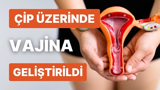 Çip Üzerinde Vajina Üretildi! Bilim Dünyasındaki Bu Gelişme Kadın Sağlığında Çığır Açacak