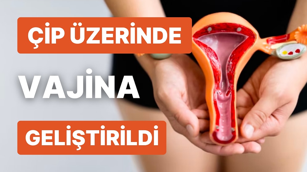 Çip Üzerinde Vajina Üretildi! Bilim Dünyasındaki Bu Gelişme Kadın Sağlığında Çığır Açacak