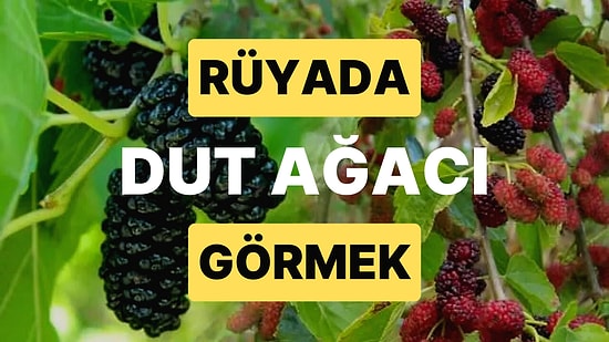 Rüyada Dut Ağacı Görmek: Bol Bereketli Bir Yaşam Sürebilirsiniz!