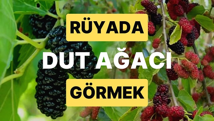 Rüyada Dut Ağacı Görmek: Bol Bereketli Bir Yaşam Sürebilirsiniz!