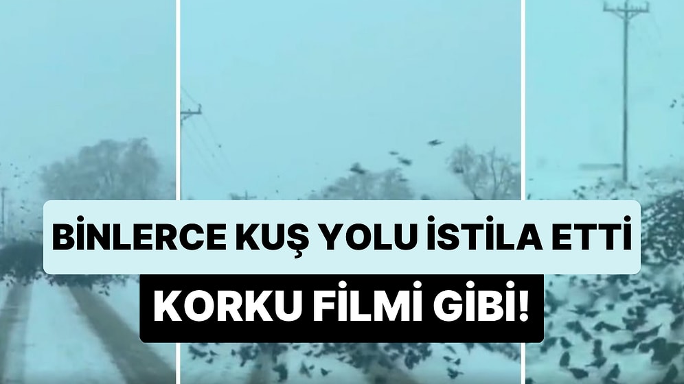 ABD'de Bir Yolu İşgal Eden Binlerce Kuşun Korku Filminden Fırlamış Gibi Gözüken Ürkütücü Anları!