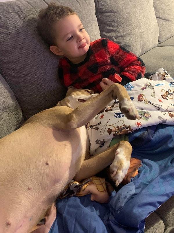 9. "Köpeğim hasta olan oğlumu neşelendirmeye çalışıyor."