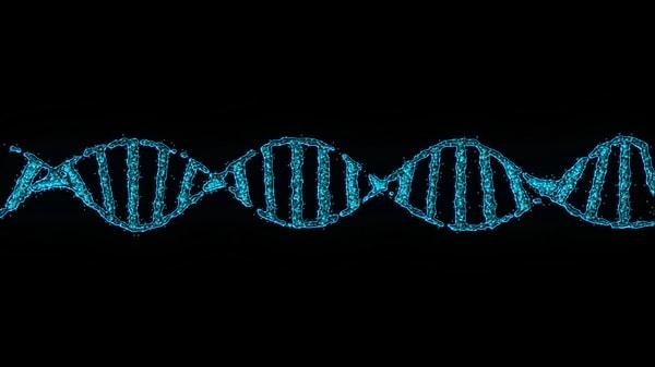 Bu genler yeni olmalarına rağmen minicik DNA parçalarından ortaya çıkan "mikrogenler" olarak bilinirler.
