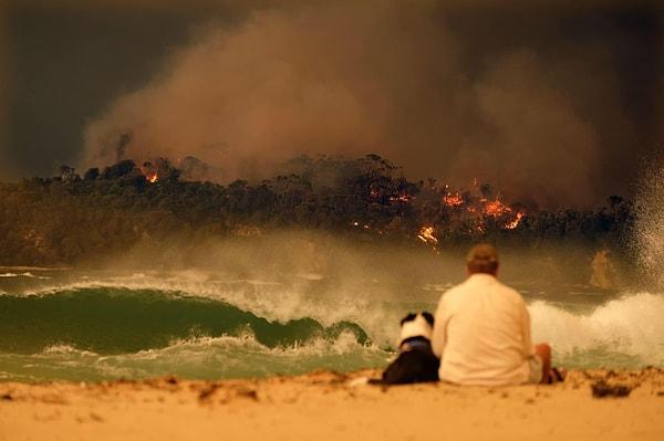 17. "Bir adam köpeğiyle Avustralya'daki orman yangınlarını izlerken."